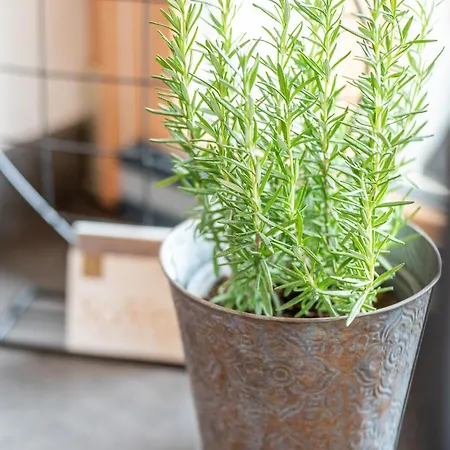 Apartment Hoamat Leben Leogang